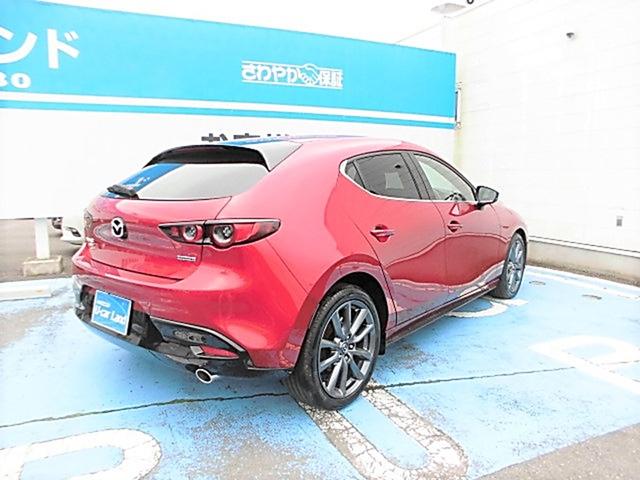 XD L PKG AWD (5枚目)