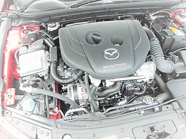 XD L PKG AWD (7枚目)