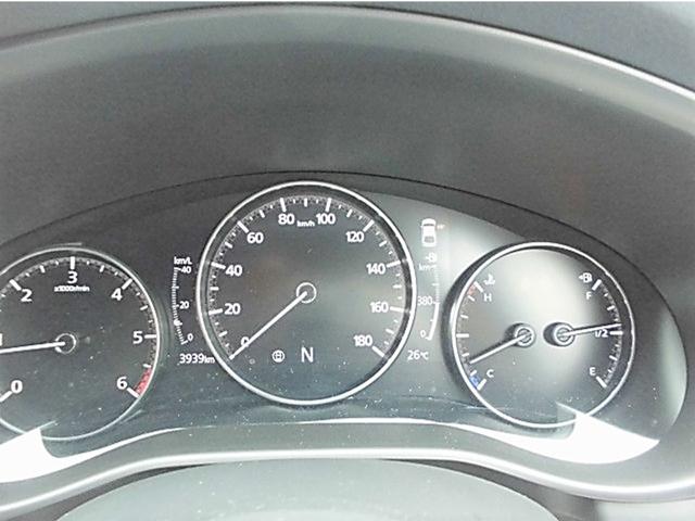 XD L PKG AWD (13枚目)