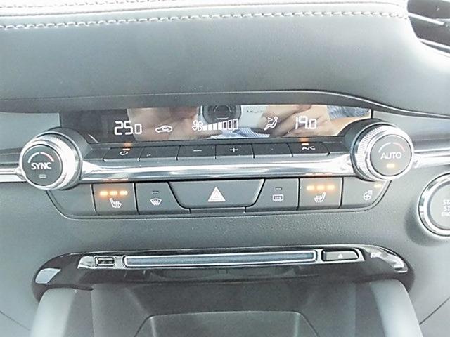 XD L PKG AWD (16枚目)