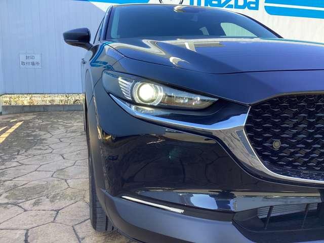 CX-30 2.0 20S ブラックトーンエディション(10枚目)