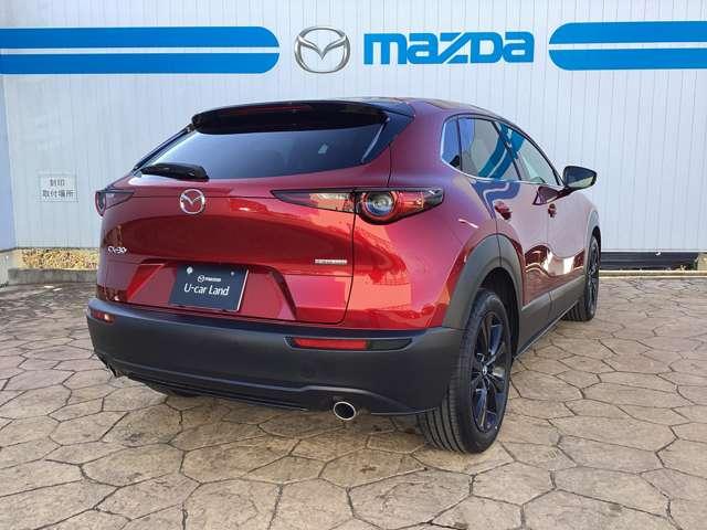 �y�u���C���h�E�X�|�b�g�E���j�^�����O�z�׎Ԑ�������������͑�������ڋ߂���ԗ������m���ăh�A�~���[�ɕ\���B���̏�Ԃł̃E�C���J�[����̍ۂɂ͌x�񉹂Ŋ댯�����m�点�B���ԏꂩ��o�b�N�ŏo�ɂ̍ۂɂ�����I