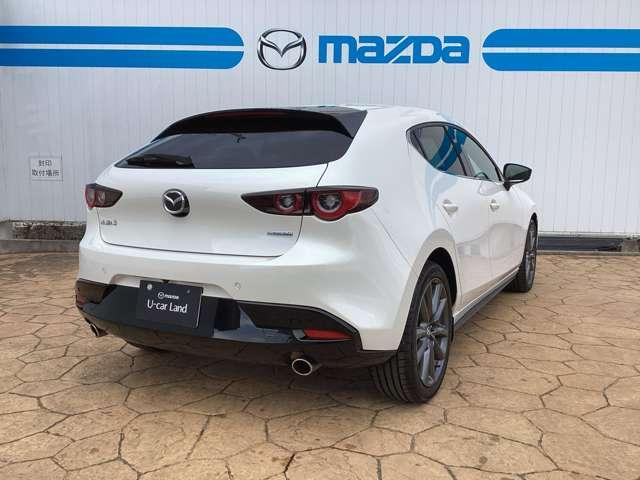 �y�u���C���h�E�X�|�b�g�E���j�^�����O�z�׎Ԑ�������������͑�������ڋ߂���ԗ������m���ăh�A�~���[�ɕ\���B���̏�Ԃł̃E�C���J�[����̍ۂɂ͌x�񉹂Ŋ댯�����m�点�B���ԏꂩ��o�b�N�ŏo�ɂ̍ۂɂ�����I