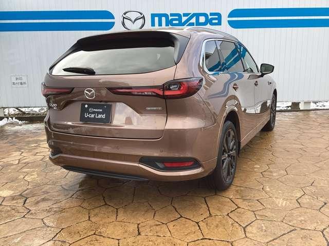 �y�u���C���h�E�X�|�b�g�E���j�^�����O�z�׎Ԑ�������������͑�������ڋ߂���ԗ������m���ăh�A�~���[�ɕ\���B���̏�Ԃł̃E�C���J�[����̍ۂɂ͌x�񉹂Ŋ댯�����m�点�B���ԏꂩ��o�b�N�ŏo�ɂ̍ۂɂ�����I