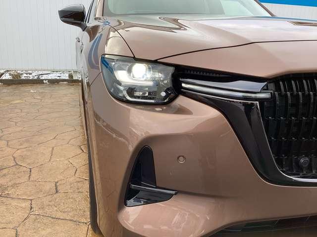 �y�A�_�v�e�B�u�E�k�d�c�E�w�b�h���C�g�z��ԑ��s���A�V�X�g����R�̋@�\�ō\������Ă��܂��B�s�X�n���s���獂�����s�܂ŕ��L�����ŁA�h���C�o�[�̖�ԑ��s���A�V�X�g���Ă���܂��B�ڂ����̓X�^�b�t�܂ŁI