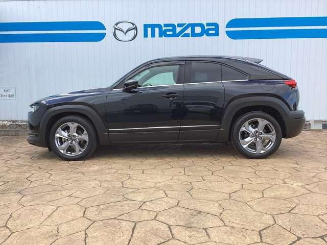 ＭＸ－３０ ＩＮＴ（ＩＮＤ）　ＡＷＤ（2枚目）