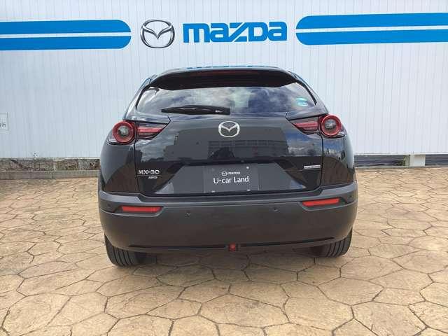 ＭＸ－３０ ＩＮＴ（ＩＮＤ）　ＡＷＤ（4枚目）