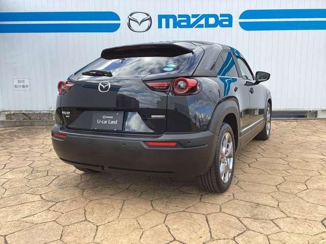 ＭＸ－３０ ＩＮＴ（ＩＮＤ）　ＡＷＤ（5枚目）