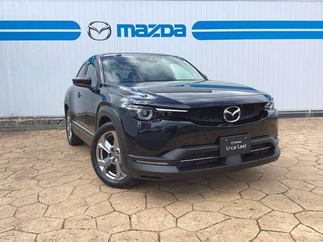 ＭＸ－３０ ＩＮＴ（ＩＮＤ）　ＡＷＤ（7枚目）