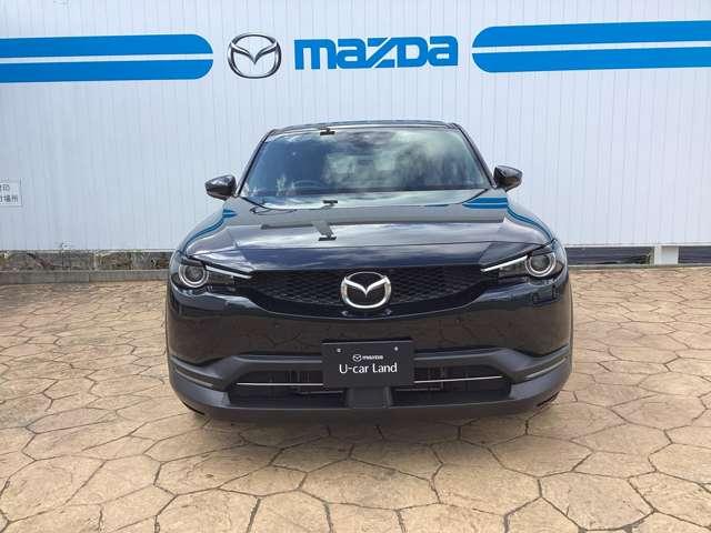 ＭＸ－３０ ＩＮＴ（ＩＮＤ）　ＡＷＤ（8枚目）