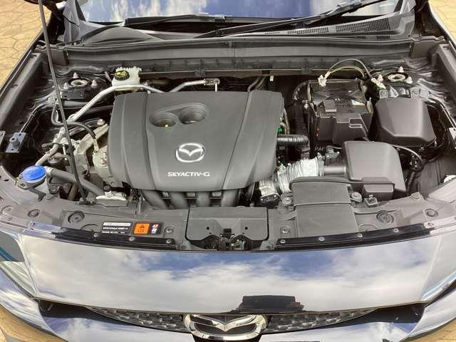 ＭＸ－３０ ＩＮＴ（ＩＮＤ）　ＡＷＤ（9枚目）