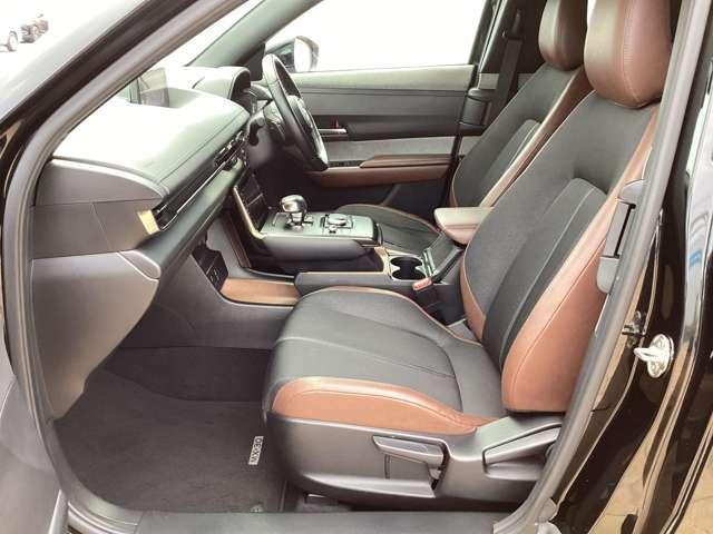 ＭＸ－３０ ＩＮＴ（ＩＮＤ）　ＡＷＤ（17枚目）