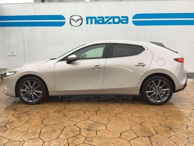 ������̃f�U�C���̃X�^�C���b�V���ł��ˁB