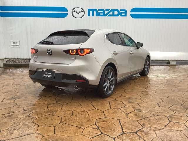 �X���͂������A�J�[�u���������ł��X���[�Y�Ń��j�A�ȉ^�]���y���߂�悤�ɁA�{�f�B��V���V�[�ɂ��X�J�C�A�N�e�B�u�Z�p�����荞�܂�Ă���܂��B