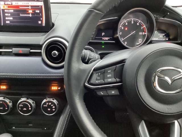 �X�e�A�����O���ɂ̓I�[�f�B�I�X�C�b�`���܂Ƃ߂Ĕz�u���Ă���A�^�]���̃I�[�f�B�I����ɂ��댯�����炵�Ă���܂��B