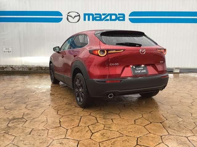 �f�B�[���[�̎Ԃ������Ƃ����C���[�W���������̂��q�l�A�K���ł���I�f�B�[���[�͏���p�����m�ň����̂ŁA����A���z�Ō������ĉ������I�[�ԑO�_���̔�p��S������ۏ؂̗������܂܂�Ă���܂��̂ł����S������