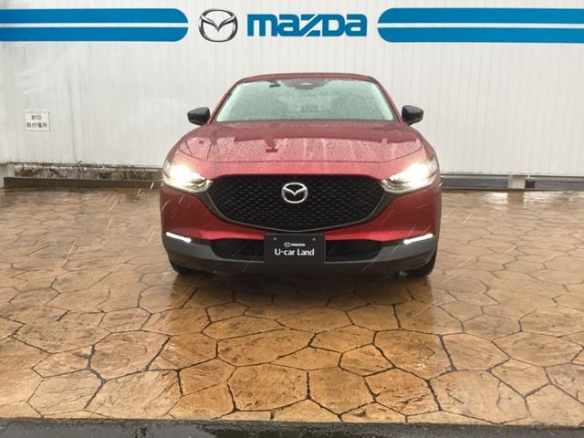 ���Ă��������I���̑唗�͂ȃt�����g�t�F�C�X�I���̃}�c�_���ے�����͋�������ۓI�ł��I