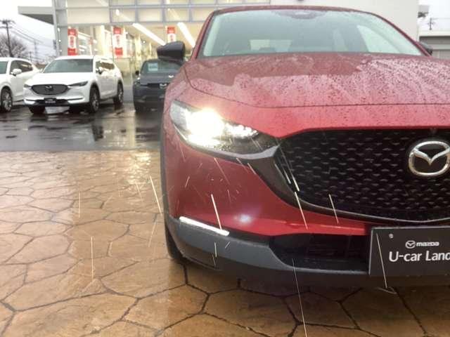 ��Ԃ̎��F�������S�̃A�_�v�e�B�u�k�d�c�w�b�h���C�g�ł��B�w�b�h���C�g�̓f�U�C���ł��傫�Ȉ�ۂƂȂ�܂��B