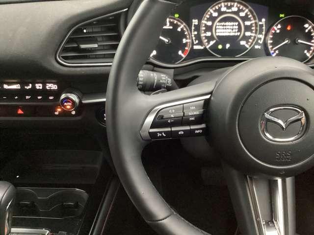 �X�e�A�����O���ɂ̓I�[�f�B�I�X�C�b�`���܂Ƃ߂Ĕz�u���Ă���A�^�]���̃I�[�f�B�I����ɂ��댯�����炵�Ă���܂��B