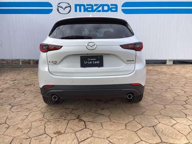 �^��̓��C�h�{�f�B�Ȃ�ł͂̑��݊�������܂��B�l���悹�Ă��A��������̉ו���ς�ł��A�����܂�����������҂����Ă���܂��B