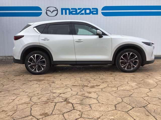 ������̃f�U�C���̃X�^�C���b�V���ł��ˁB