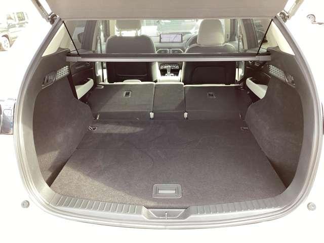 ��ȃV�[�g�͍��E�����œ|��邩�炱��ȂɍL���Ȃ�܂��I�傫�Ȃ����������C�ɂ����ł��܂��ˁI