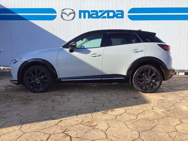 �T�C�h�̃X�^�C�����O�ł��B����S�n��n���h�����O�̌���ɔ����A�����O�m�[�Y�̃X�^�C�����O���X�|�[�e�B�Ȉ�ۂ�^���܂��B