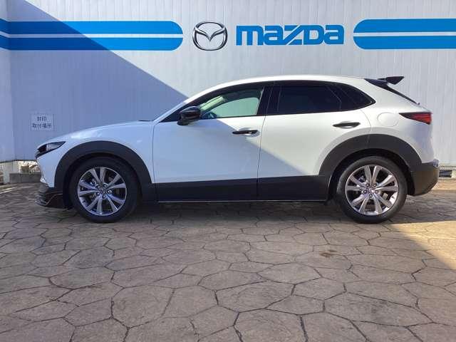 �f�B�[���[�̎Ԃ������Ƃ����C���[�W���������̂��q�l�A�K���ł���I�f�B�[���[�͏���p�����m�ň����̂ŁA����A���z�Ō������ĉ������I�[�ԑO�_���̔�p��S������ۏ؂̗������܂܂�Ă���܂��̂ł����S������