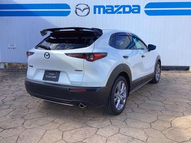 �y�u���C���h�E�X�|�b�g�E���j�^�����O�z�׎Ԑ�������������͑�������ڋ߂���ԗ������m���ăh�A�~���[�ɕ\���B���̏�Ԃł̃E�C���J�[����̍ۂɂ͌x�񉹂Ŋ댯�����m�点�B���ԏꂩ��o�b�N�ŏo�ɂ̍ۂɂ�����I