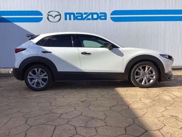 ���i���w���O�ɁA���w������̂��x�����V�~�����[�V����������Ă������܂��̂ŁA��������Ƃ����v��ŁA���S���Ă��I�т��������܂��I