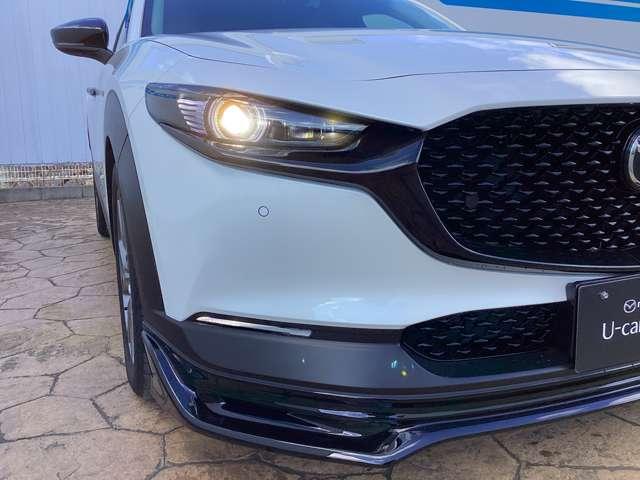 �y�A�_�v�e�B�u�E�k�d�c�E�w�b�h���C�g�z��ԑ��s���A�V�X�g����R�̋@�\�ō\������Ă��܂��B�s�X�n���s���獂�����s�܂ŕ��L�����ŁA�h���C�o�[�̖�ԑ��s���A�V�X�g���Ă���܂��B�ڂ����̓X�^�b�t�܂ŁI