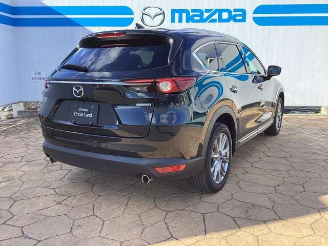 �y�u���C���h�E�X�|�b�g�E���j�^�����O�z�׎Ԑ�������������͑�������ڋ߂���ԗ������m���ăh�A�~���[�ɕ\���B���̏�Ԃł̃E�C���J�[����̍ۂɂ͌x�񉹂Ŋ댯�����m�点�B���ԏꂩ��o�b�N�ŏo�ɂ̍ۂɂ�����I