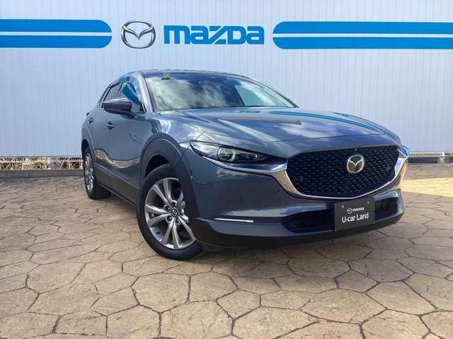 ＣＸ－３０ １．８　ＸＤ　プロアクティブ　ツーリングセレクション　ディー（7枚目）