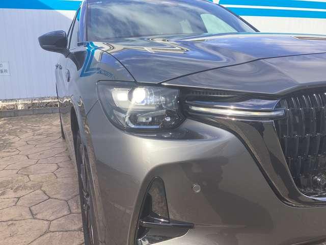 �y�A�_�v�e�B�u�E�k�d�c�E�w�b�h���C�g�z��ԑ��s���A�V�X�g����R�̋@�\�ō\������Ă��܂��B�s�X�n���s���獂�����s�܂ŕ��L�����ŁA�h���C�o�[�̖�ԑ��s���A�V�X�g���Ă���܂��B�ڂ����̓X�^�b�t�܂ŁI