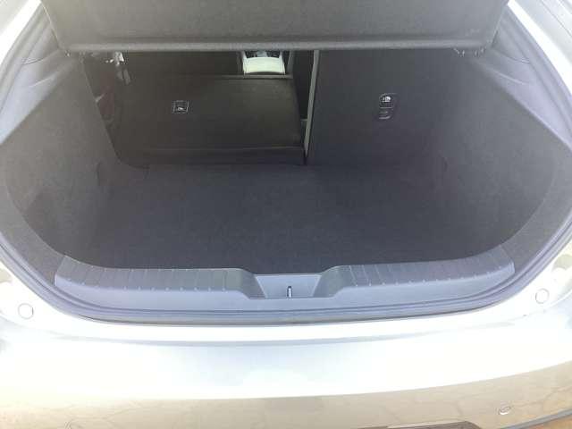 ��ȃV�[�g�͍��E�����œ|��邩�炱��ȂɍL���Ȃ�܂��I�傫�Ȃ����������C�ɂ����ł��܂��ˁI