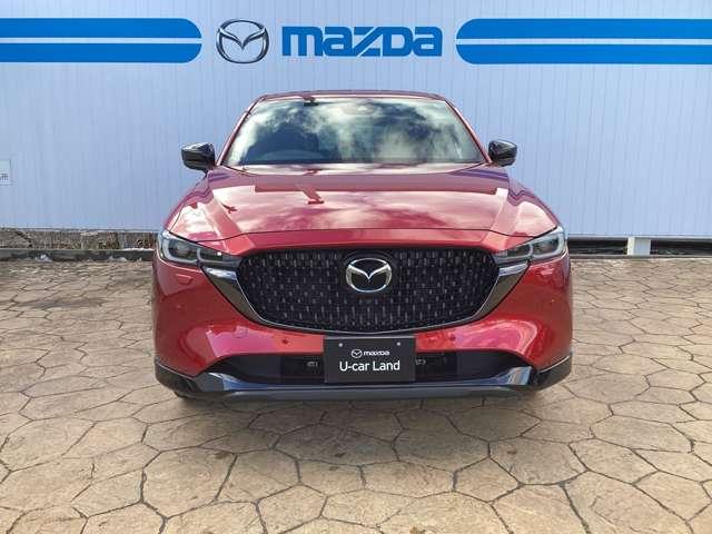 ���Ă��������I���̑唗�͂ȃt�����g�t�F�C�X�I���̃}�c�_���ے�����͋�������ۓI�ł��I