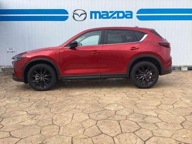 �T�C�h�̃X�^�C�����O�ł��B����S�n��n���h�����O�̌���ɔ����A�����O�m�[�Y�̃X�^�C�����O���X�|�[�e�B�Ȉ�ۂ�^���܂��B