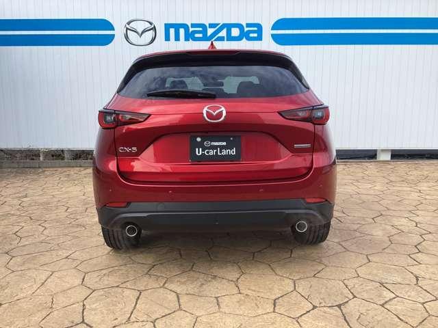 �^��̓��C�h�{�f�B�Ȃ�ł͂̑��݊�������܂��B�l���悹�Ă��A��������̉ו���ς�ł��A�����܂�����������҂����Ă���܂��B