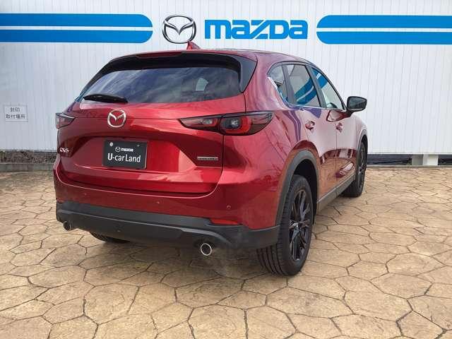 �y�u���C���h�E�X�|�b�g�E���j�^�����O�z�׎Ԑ�������������͑�������ڋ߂���ԗ������m���ăh�A�~���[�ɕ\���B���̏�Ԃł̃E�C���J�[����̍ۂɂ͌x�񉹂Ŋ댯�����m�点�B���ԏꂩ��o�b�N�ŏo�ɂ̍ۂɂ�����I