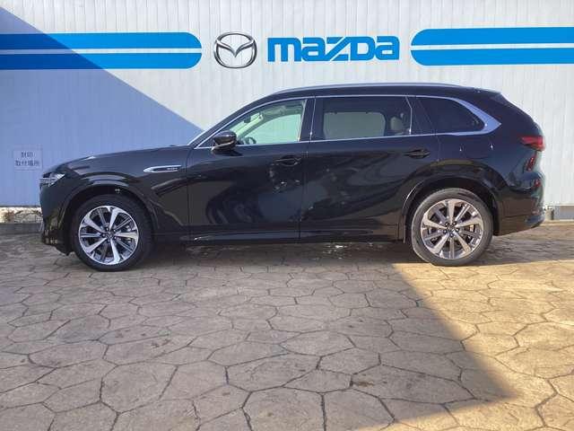 �T�C�h�̃X�^�C�����O�ł��B����S�n��n���h�����O�̌���ɔ����A�����O�m�[�Y�̃X�^�C�����O���X�|�[�e�B�Ȉ�ۂ�^���܂��B