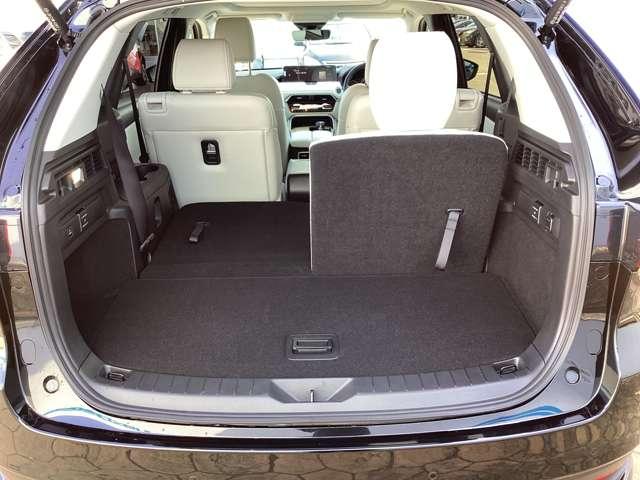 ��ȃV�[�g�͍��E�����œ|��邩�炱��ȂɍL���Ȃ�܂��I�傫�Ȃ����������C�ɂ����ł��܂��ˁI