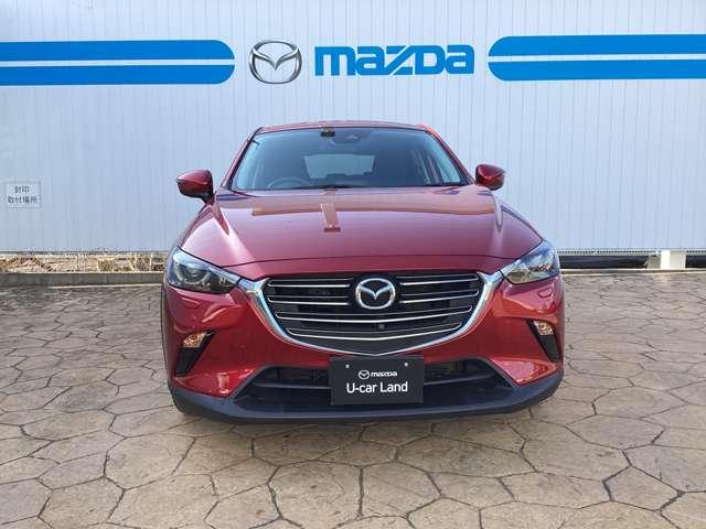 ���Ă��������I���̑唗�͂ȃt�����g�t�F�C�X�I���̃}�c�_���ے�����͋�������ۓI�ł��I