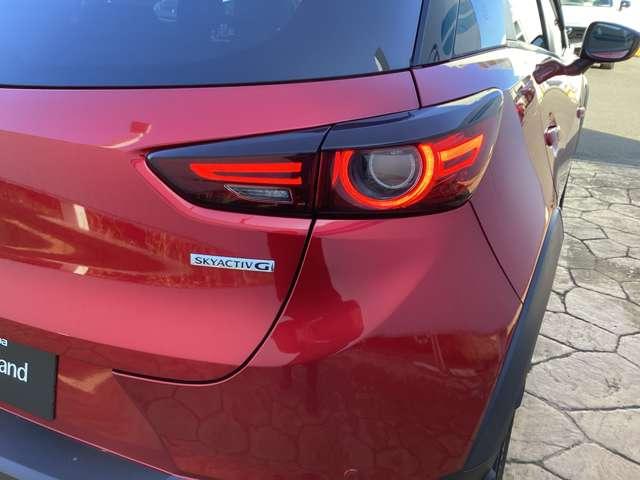 ���A�̃��C�g���V���[�v�Ŗڂ������f�U�C���ł��B