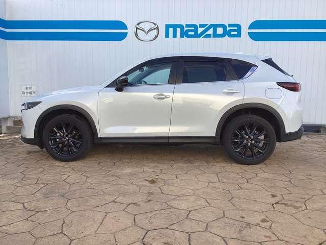 �T�C�h�̃X�^�C�����O�ł��B����S�n��n���h�����O�̌���ɔ����A�����O�m�[�Y�̃X�^�C�����O���X�|�[�e�B�Ȉ�ۂ�^���܂��B