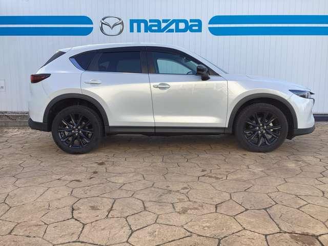 ������̃f�U�C���̃X�^�C���b�V���ł��ˁB