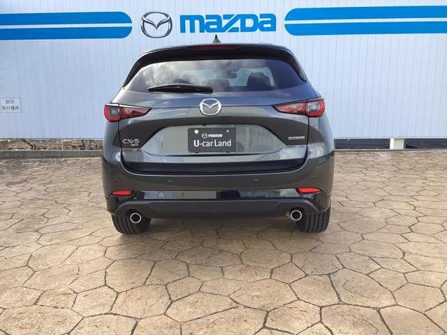 �^��̓��C�h�{�f�B�Ȃ�ł͂̑��݊�������܂��B�l���悹�Ă��A��������̉ו���ς�ł��A�����܂�����������҂����Ă���܂��B