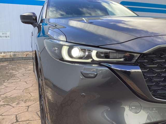 ��Ԃ̎��F�������S�̂k�d�c�w�b�h���C�g�ł��B�w�b�h���C�g�̓f�U�C���ł��傫�Ȉ�ۂƂȂ�܂��B