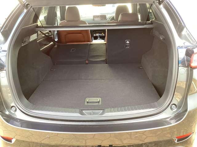 ��ȃV�[�g�͍��E�����œ|��邩�炱��ȂɍL���Ȃ�܂��I�傫�Ȃ����������C�ɂ����ł��܂��ˁI