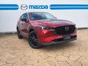 ＣＸ－５ ２．０　２０Ｓ　ブラックトーンエディション　衝突軽減ブレーキ（7枚目）