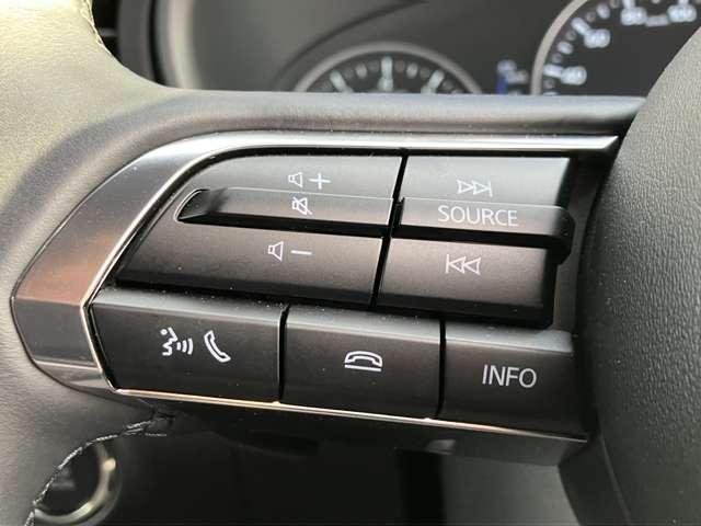 �X�e�A�����O���ɂ̓I�[�f�B�I�X�C�b�`���܂Ƃ߂Ĕz�u���Ă���A�^�]���̃I�[�f�B�I����ɂ��댯�����炵�Ă���܂��B